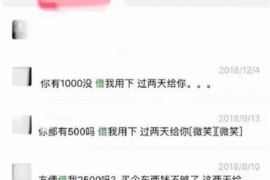 溧阳为什么选择专业追讨公司来处理您的债务纠纷？